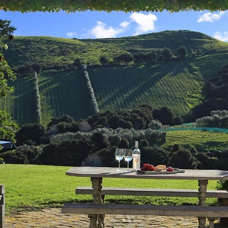The Vineyard Cottage - Stay Waiheke Onetangi Exteriér fotografie