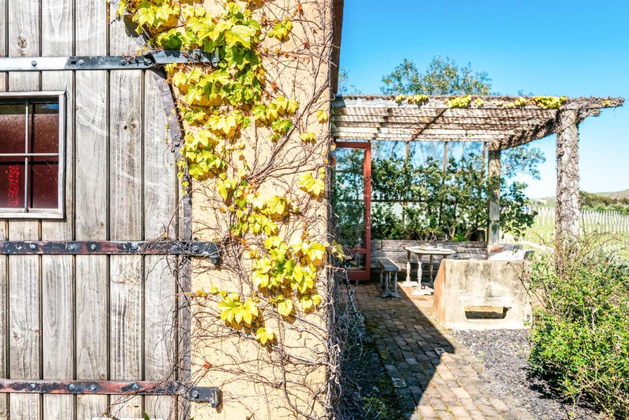 The Vineyard Cottage - Stay Waiheke Onetangi Exteriér fotografie