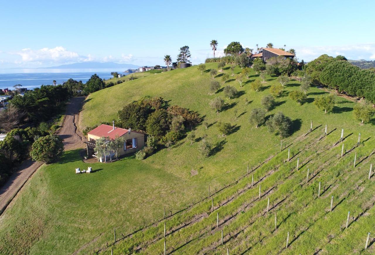 The Vineyard Cottage - Stay Waiheke Onetangi Exteriér fotografie